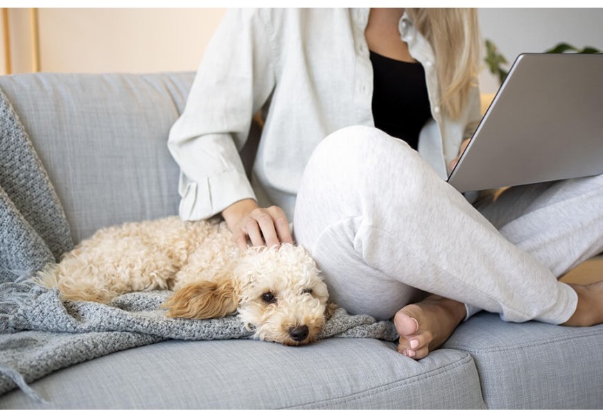Dog Grooming Costs and How Much to Tip Your Dog Groomer